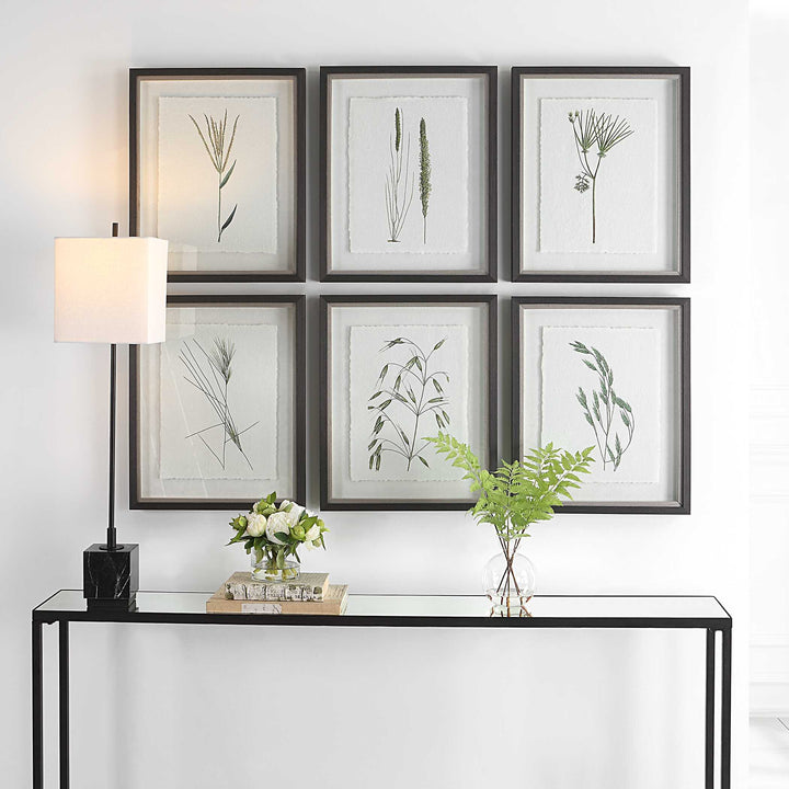 Forest Finds Framed Prints Set of 6 Accessories Uttermost