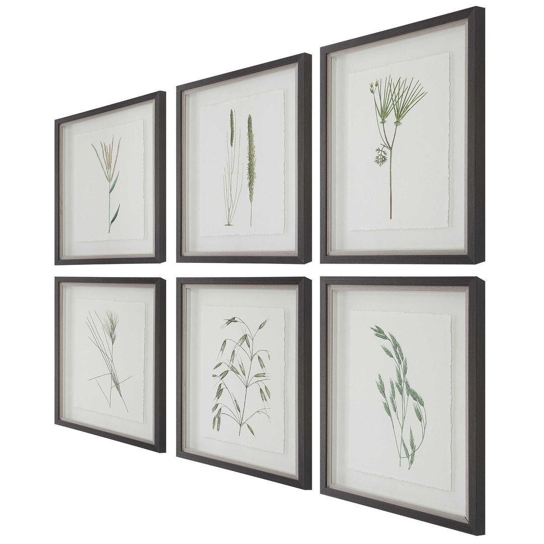 Forest Finds Framed Prints Set of 6 Accessories Uttermost