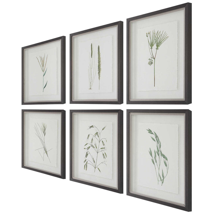 Forest Finds Framed Prints Set of 6 Accessories Uttermost