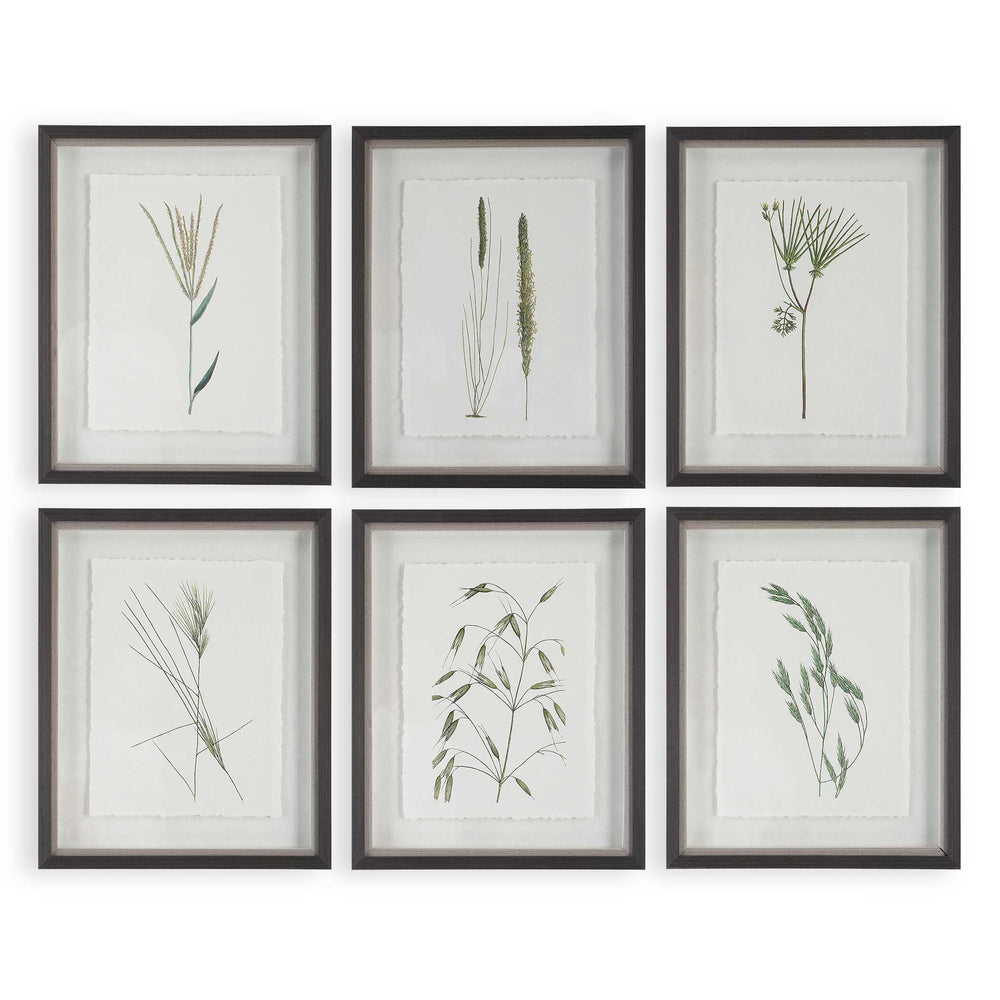 Forest Finds Framed Prints Set of 6 Accessories Uttermost