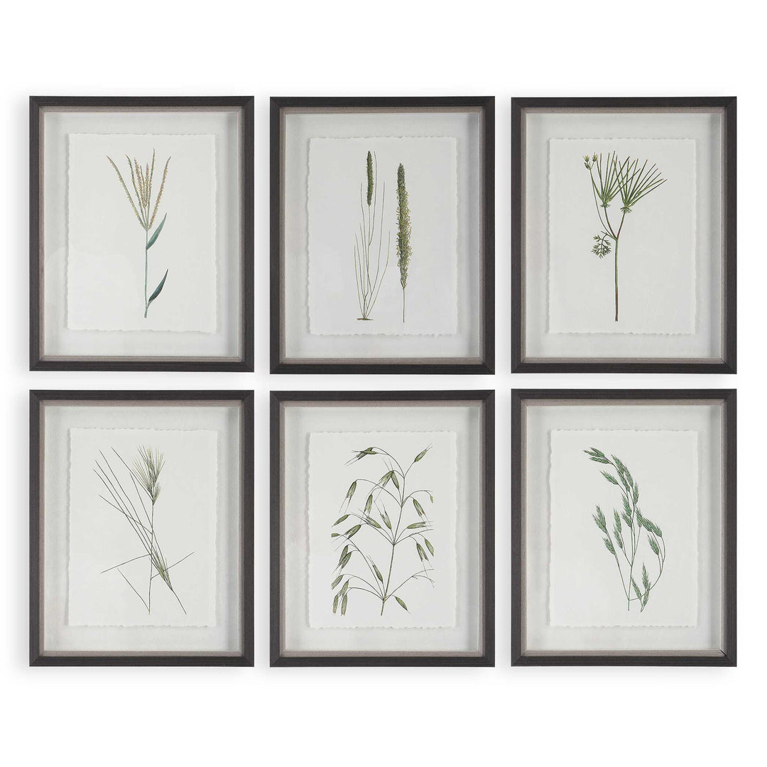 Forest Finds Framed Prints Set of 6 Accessories Uttermost