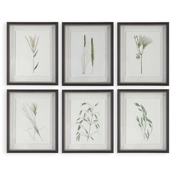 Forest Finds Framed Prints Set of 6 Accessories Uttermost