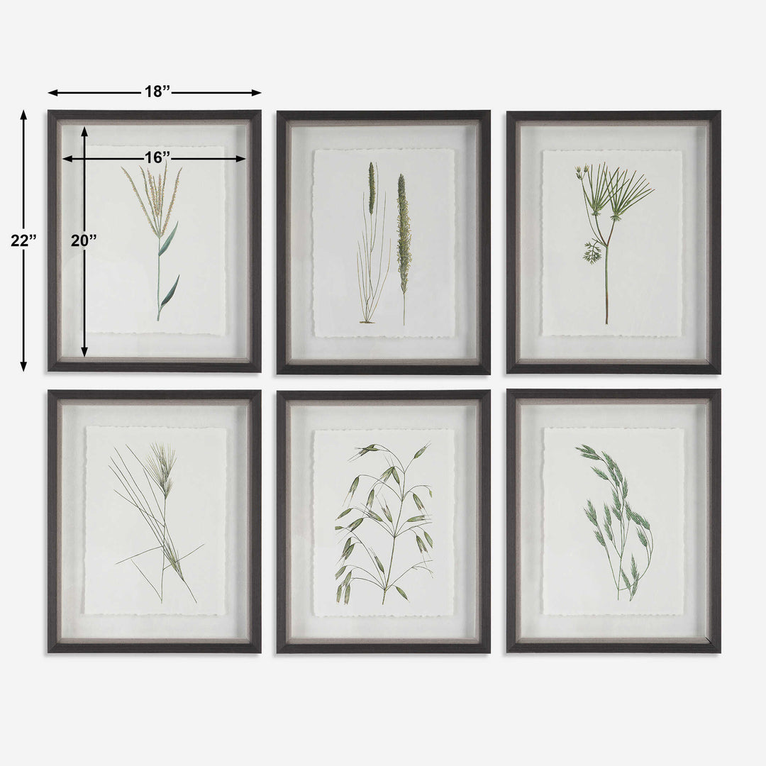Forest Finds Framed Prints Set of 6 Accessories Uttermost