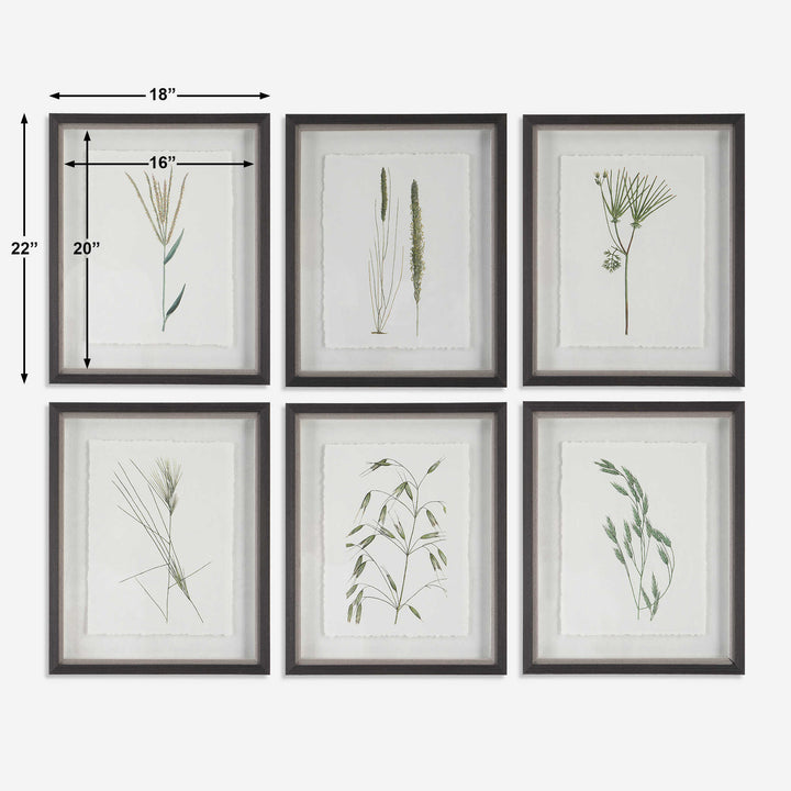 Forest Finds Framed Prints Set of 6 Accessories Uttermost