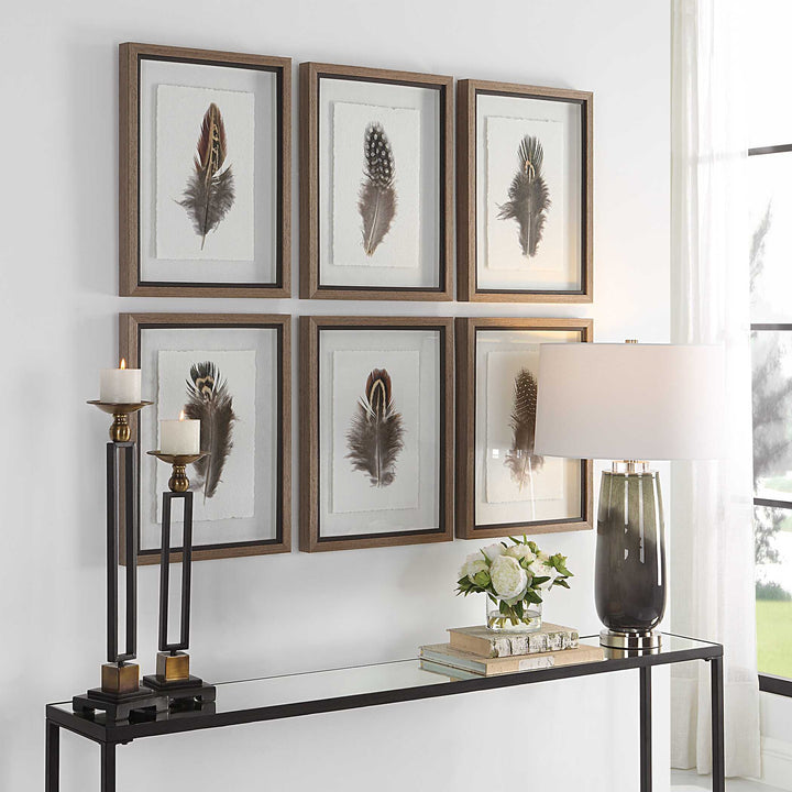 Birds Of A Feather Framed Prints Set of 6 Accessories Uttermost