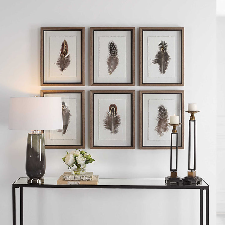 Birds Of A Feather Framed Prints Set of 6 Accessories Uttermost