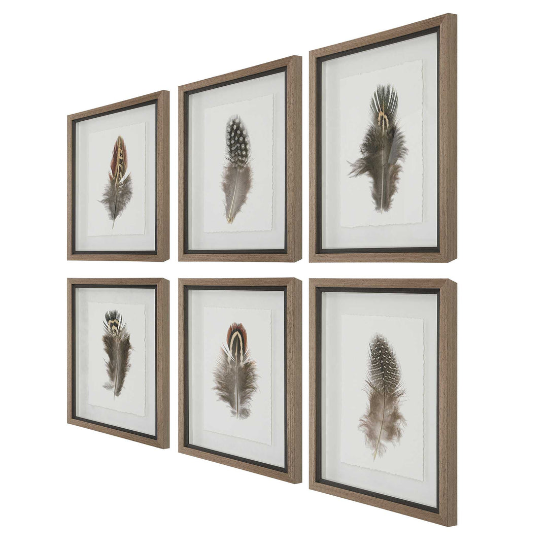 Birds Of A Feather Framed Prints Set of 6 Accessories Uttermost