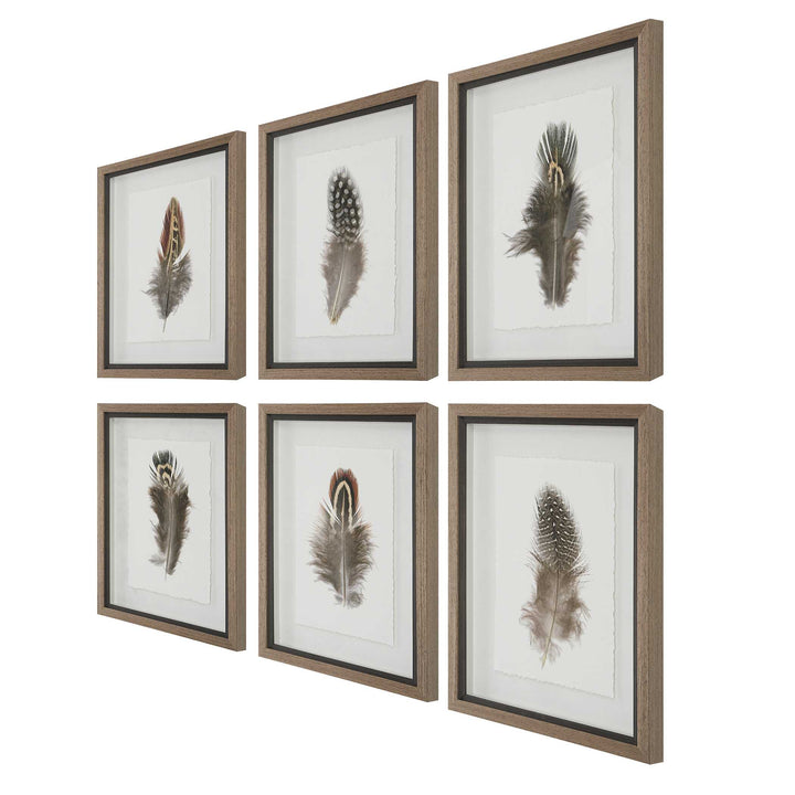 Birds Of A Feather Framed Prints Set of 6 Accessories Uttermost