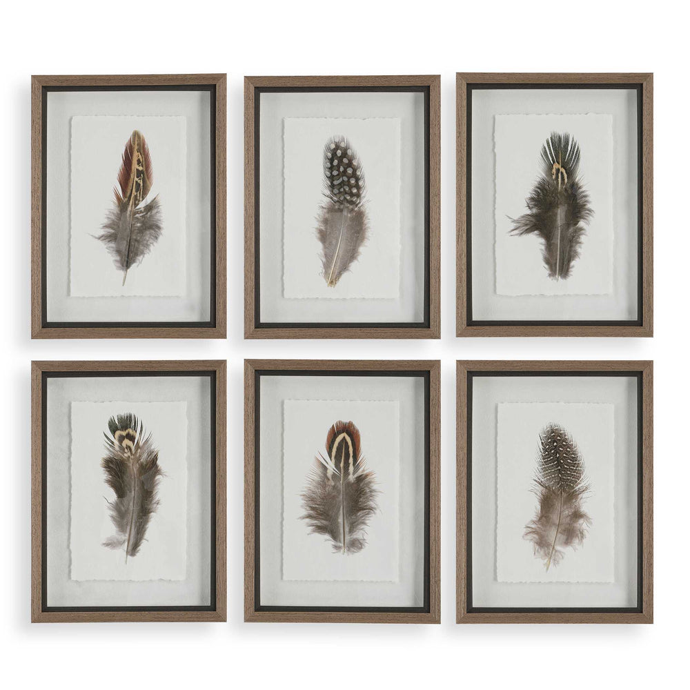 Birds Of A Feather Framed Prints Set of 6 Accessories Uttermost