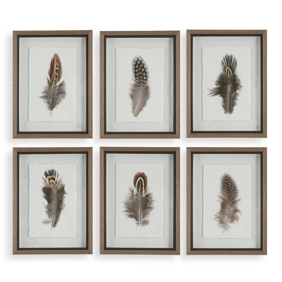 Birds Of A Feather Framed Prints Set of 6 Accessories Uttermost