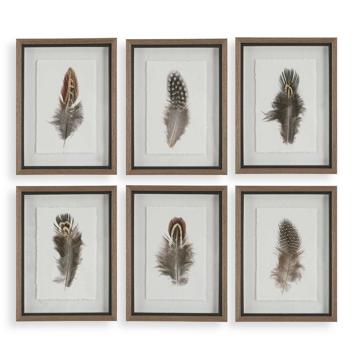 Birds Of A Feather Framed Prints Set of 6 Accessories Uttermost