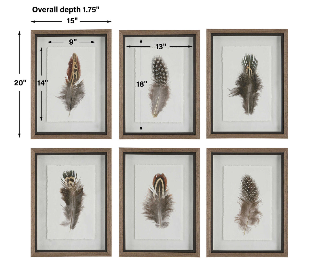 Birds Of A Feather Framed Prints Set of 6 Accessories Uttermost