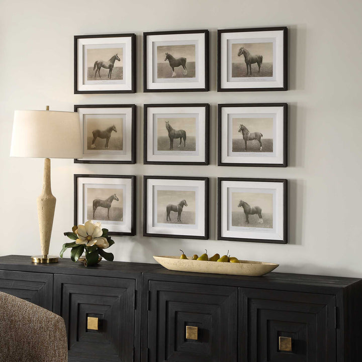 Equine Dynasty Framed Prints Set of 9 Accessories Uttermost