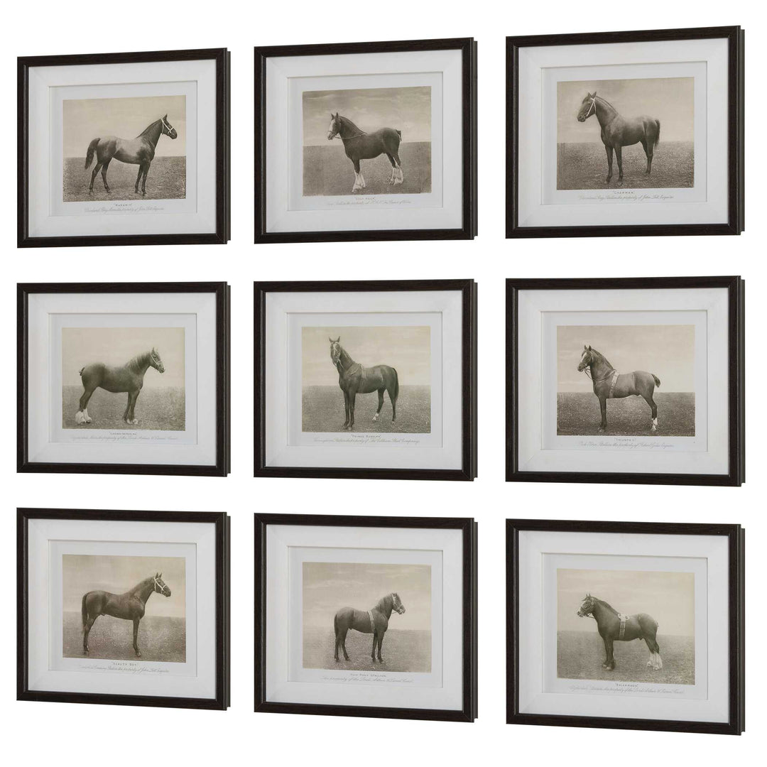Equine Dynasty Framed Prints Set of 9 Accessories Uttermost