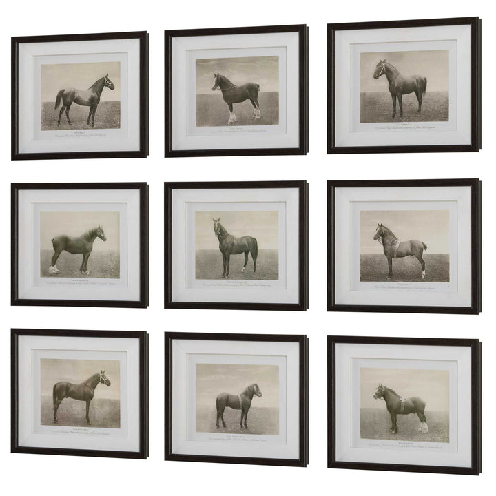 Equine Dynasty Framed Prints Set of 9 Accessories Uttermost