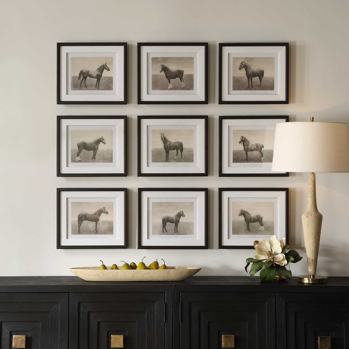 Equine Dynasty Framed Prints Set of 9 Accessories Uttermost