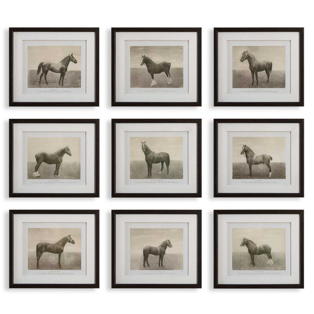 Equine Dynasty Framed Prints Set of 9 Accessories Uttermost