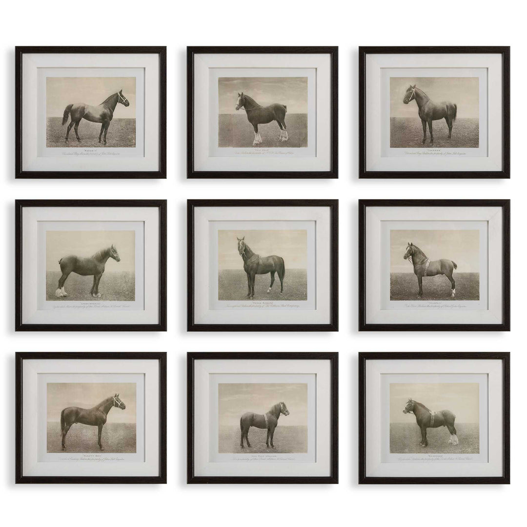 Equine Dynasty Framed Prints Set of 9 Accessories Uttermost