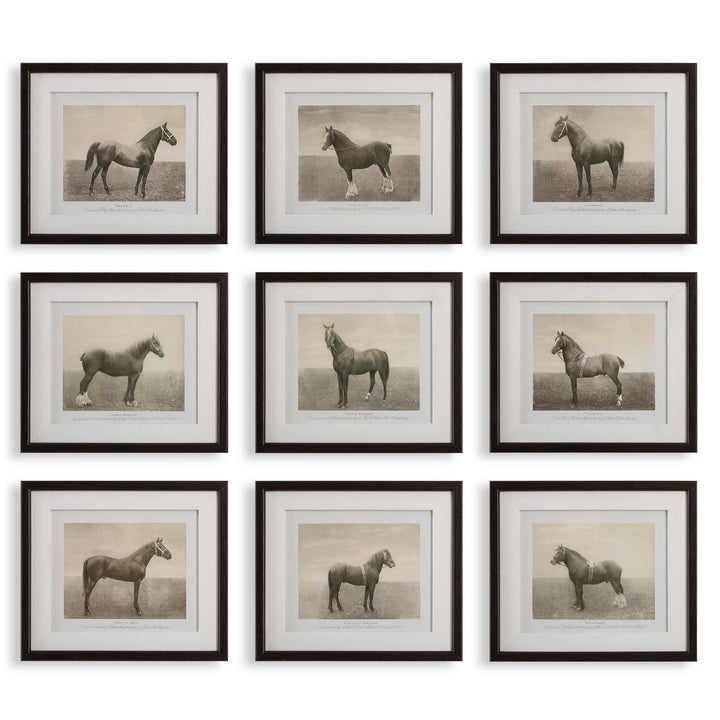 Equine Dynasty Framed Prints Set of 9 Accessories Uttermost