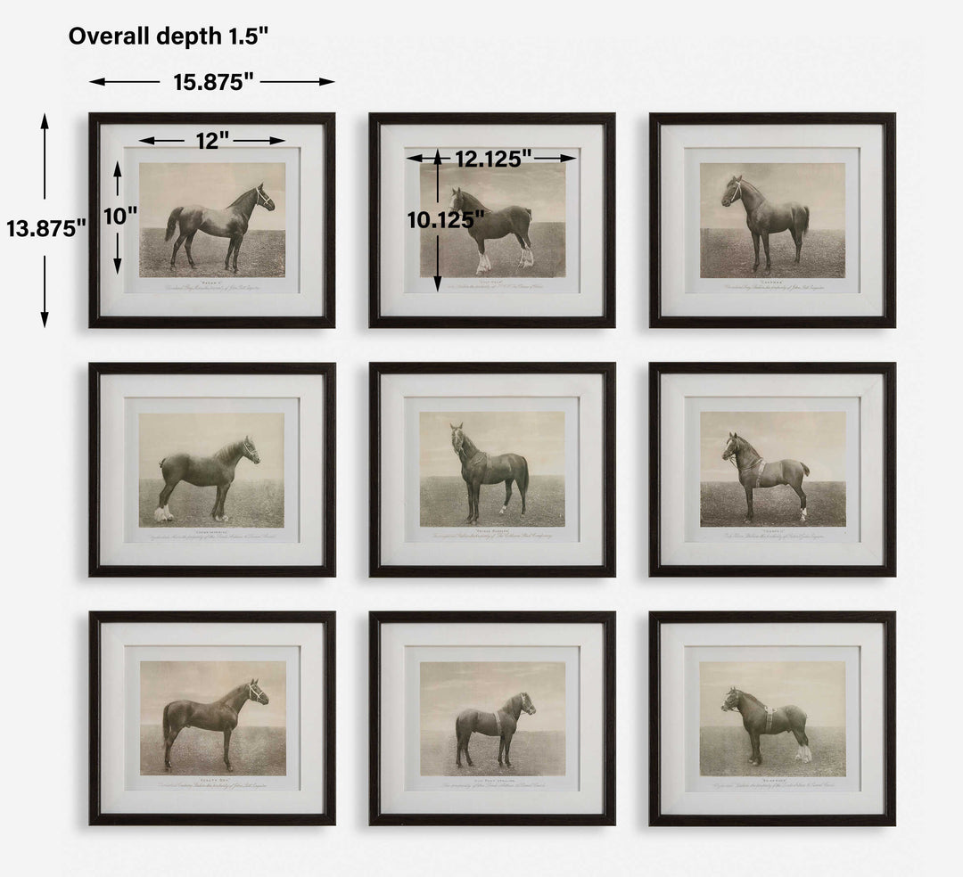 Equine Dynasty Framed Prints Set of 9 Accessories Uttermost