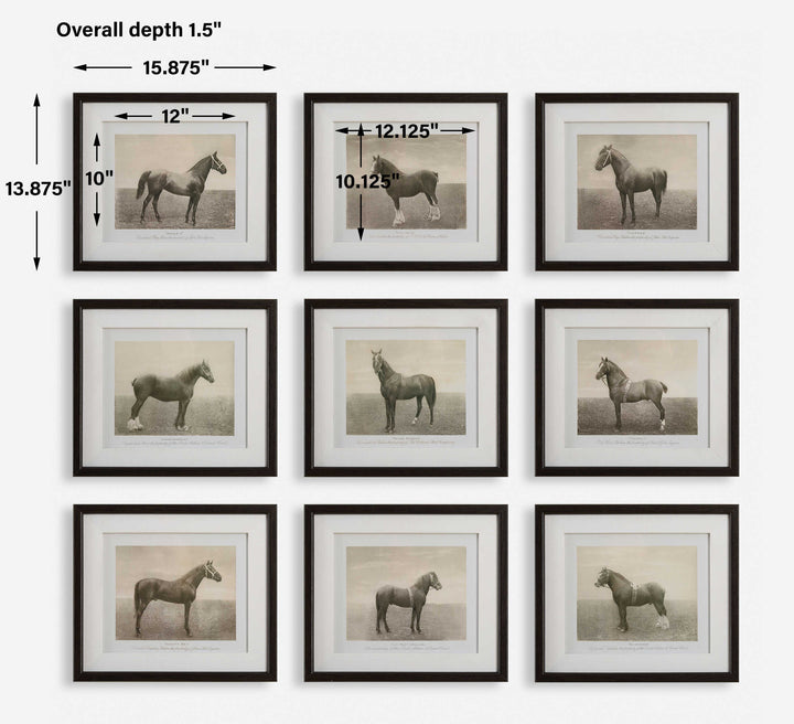 Equine Dynasty Framed Prints Set of 9 Accessories Uttermost