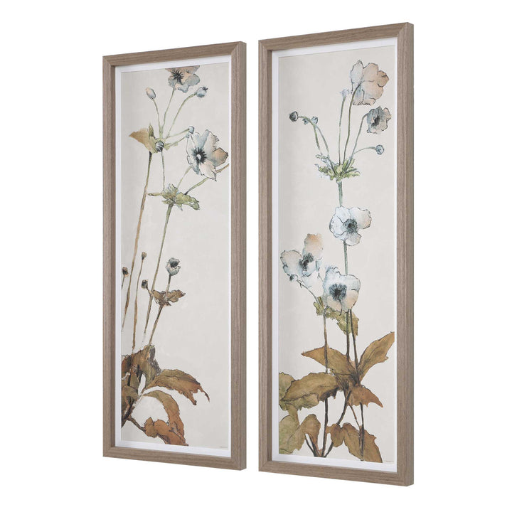 Garden Study Framed Floral Prints, Set of 2 Accessories Uttermost