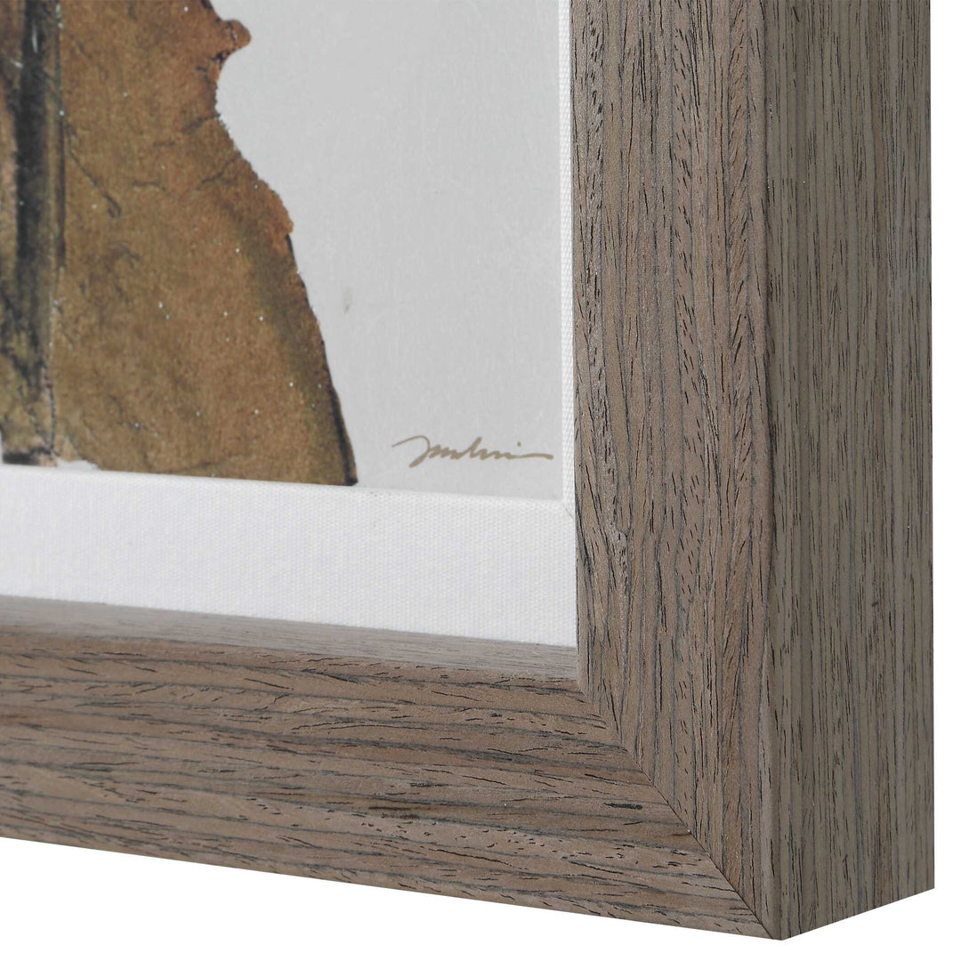Garden Study Framed Floral Prints, Set of 2 Accessories Uttermost