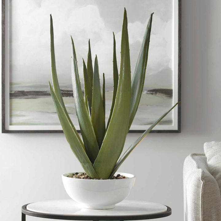 Evarado Aloe Planter Accessories Uttermost