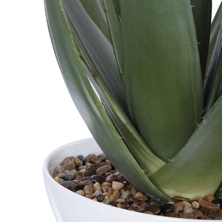 Evarado Aloe Planter Accessories Uttermost