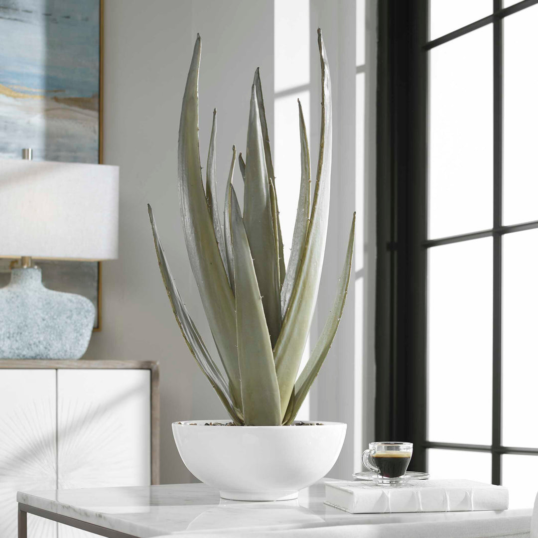 Evarado Aloe Planter Accessories Uttermost