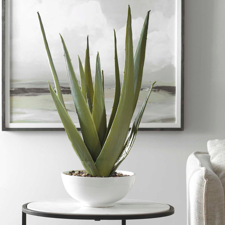 Evarado Aloe Planter Accessories Uttermost