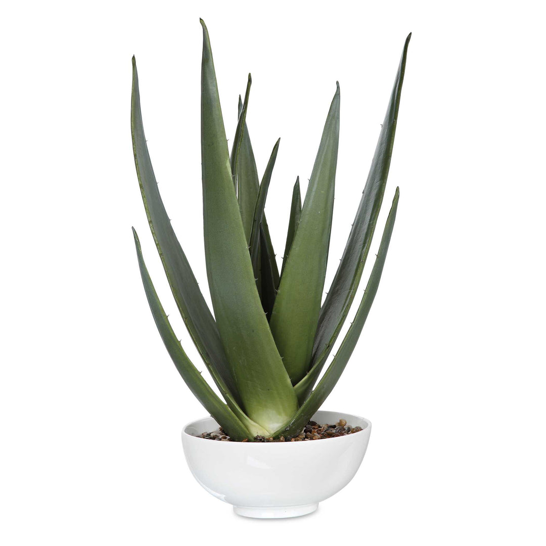 Evarado Aloe Planter Accessories Uttermost