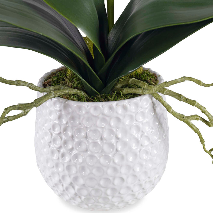 Cami White Orchid Accessories Uttermost