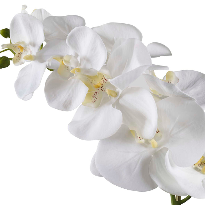 Cami White Orchid Accessories Uttermost