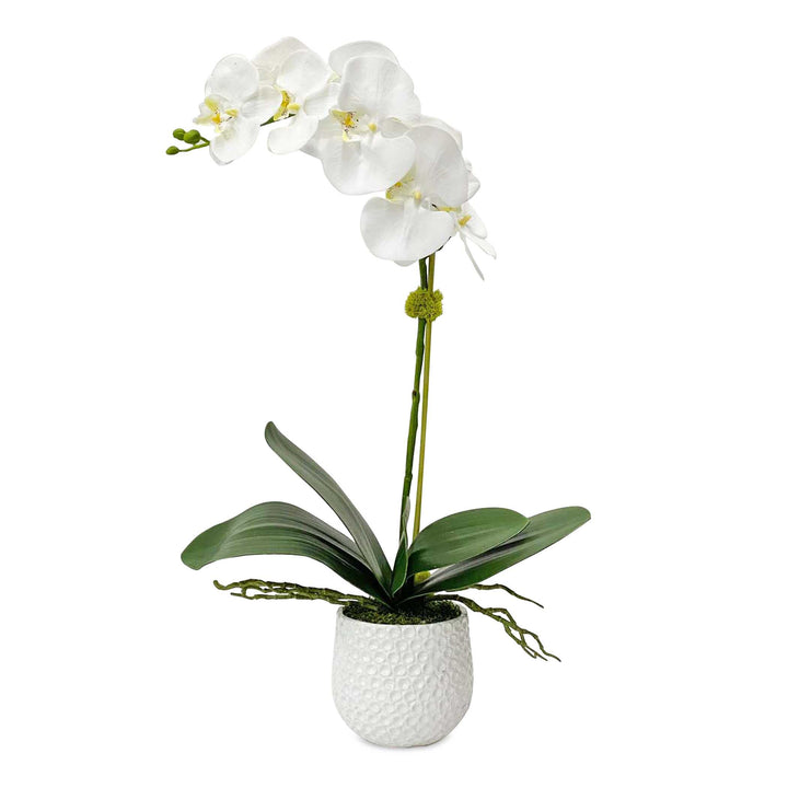 Cami White Orchid Accessories Uttermost