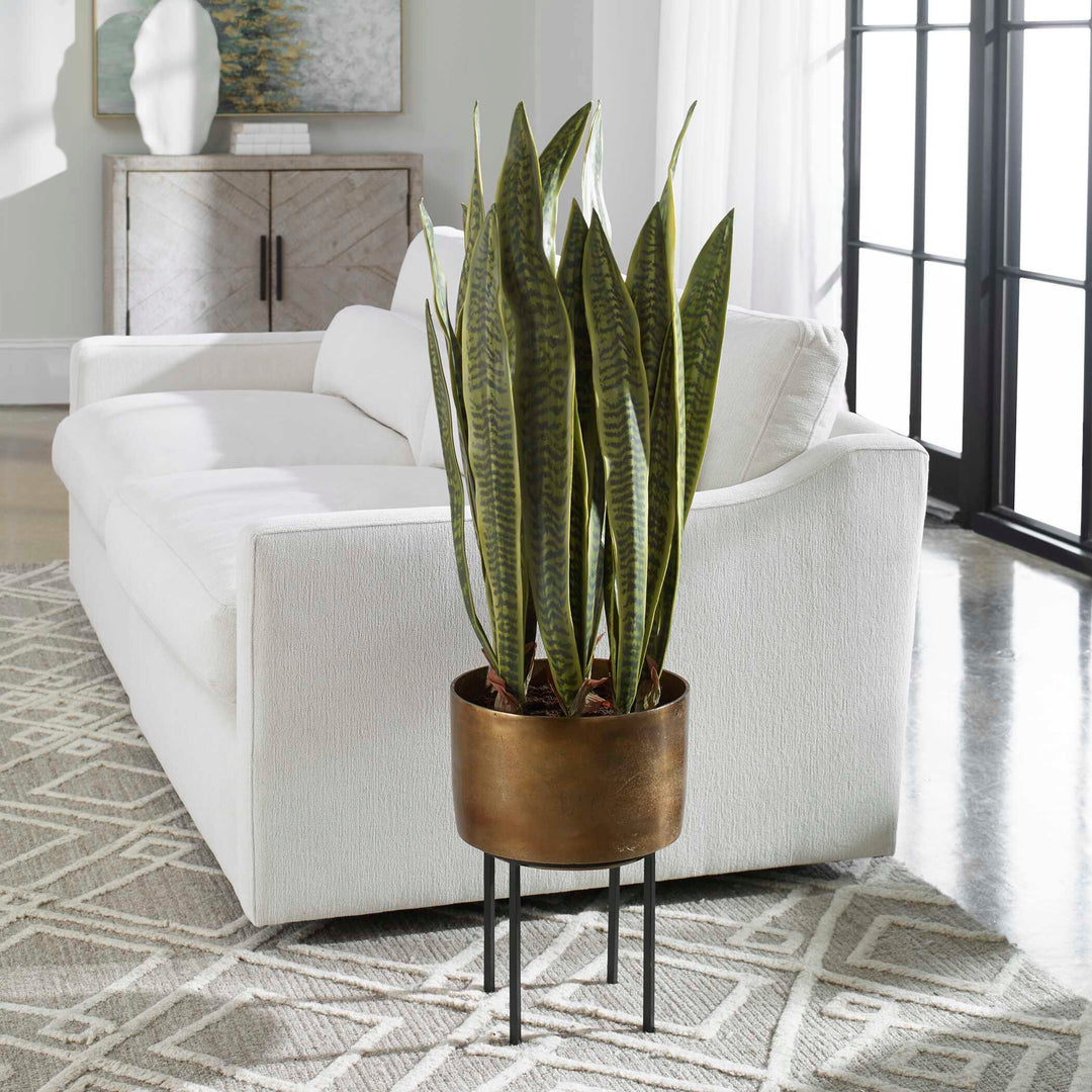 Fasita Brass Planter Accessories Uttermost