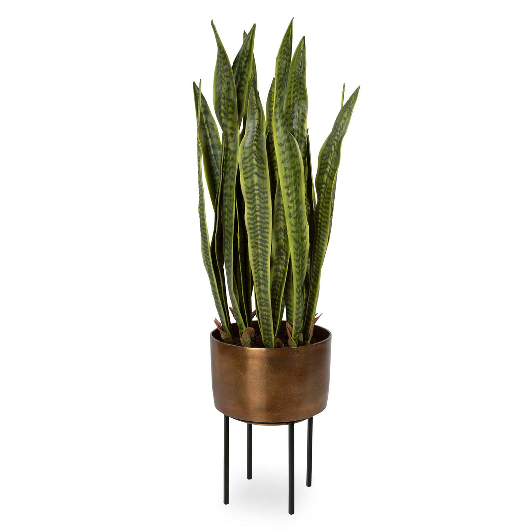 Fasita Brass Planter Accessories Uttermost