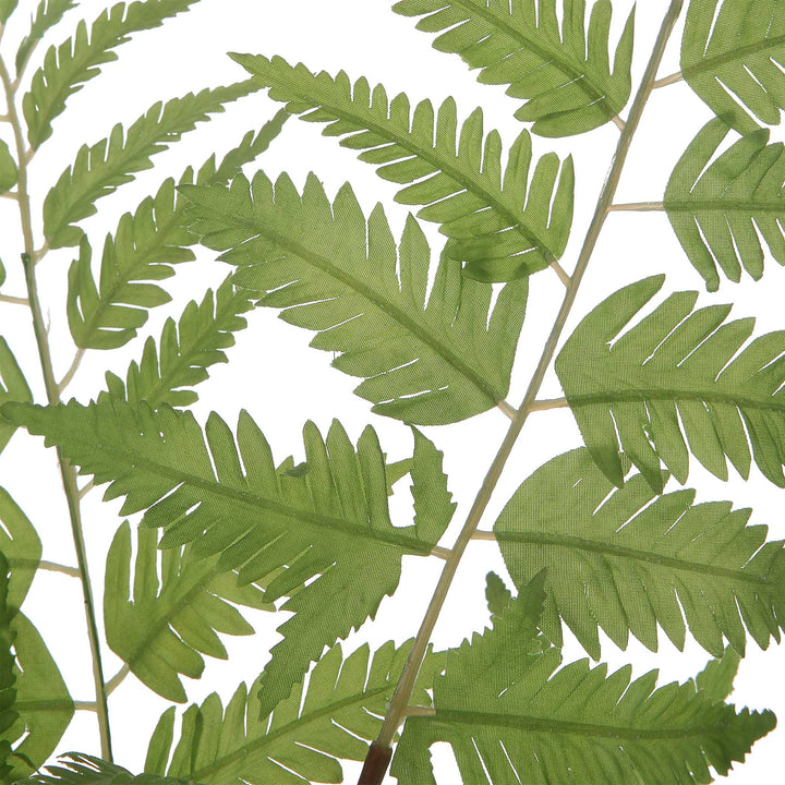 Country Ferns Set of 2 Accessories Uttermost