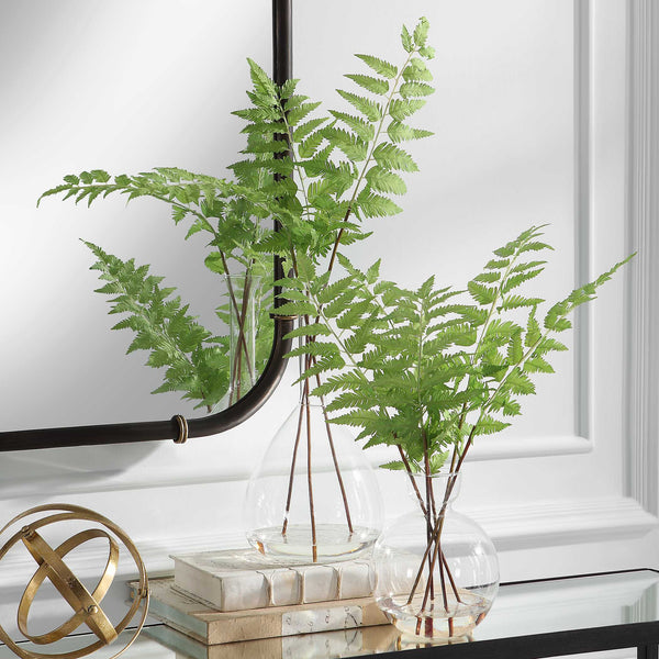 Country Ferns Set of 2