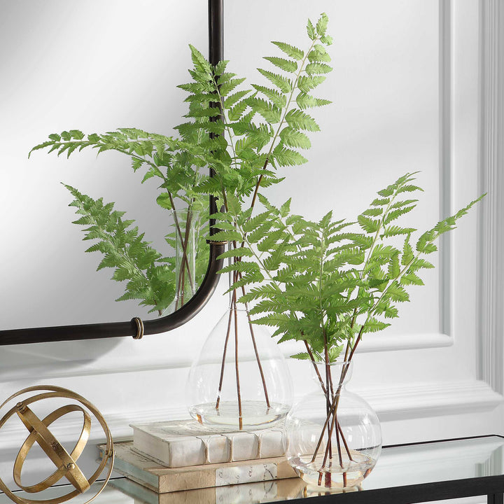 Country Ferns Set of 2 Accessories Uttermost