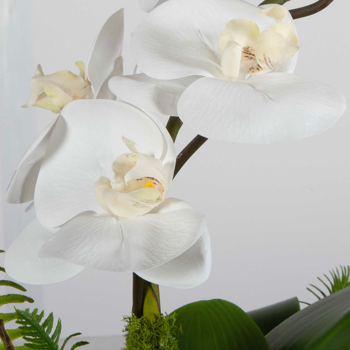 Transcend Orchid Centerpiece Accessories Uttermost