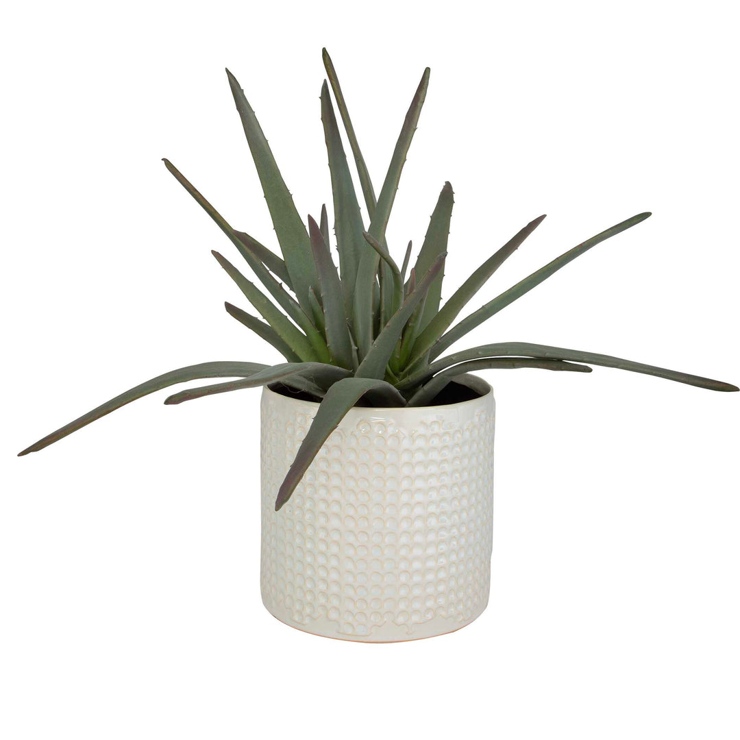 Taos Aloe Centerpiece Accessories Uttermost