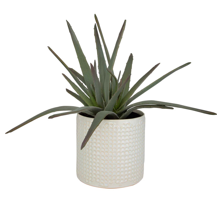 Taos Aloe Centerpiece Accessories Uttermost