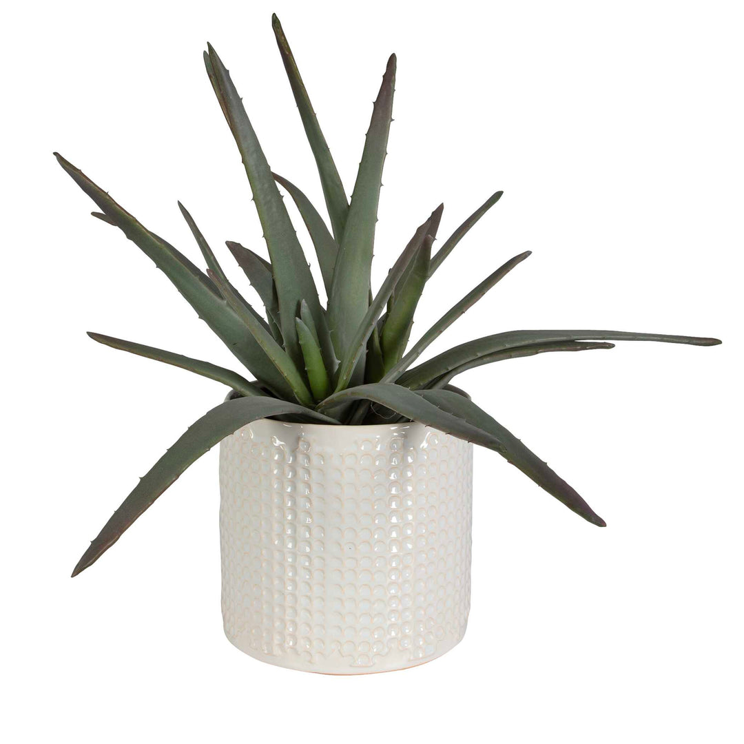 Taos Aloe Centerpiece Accessories Uttermost