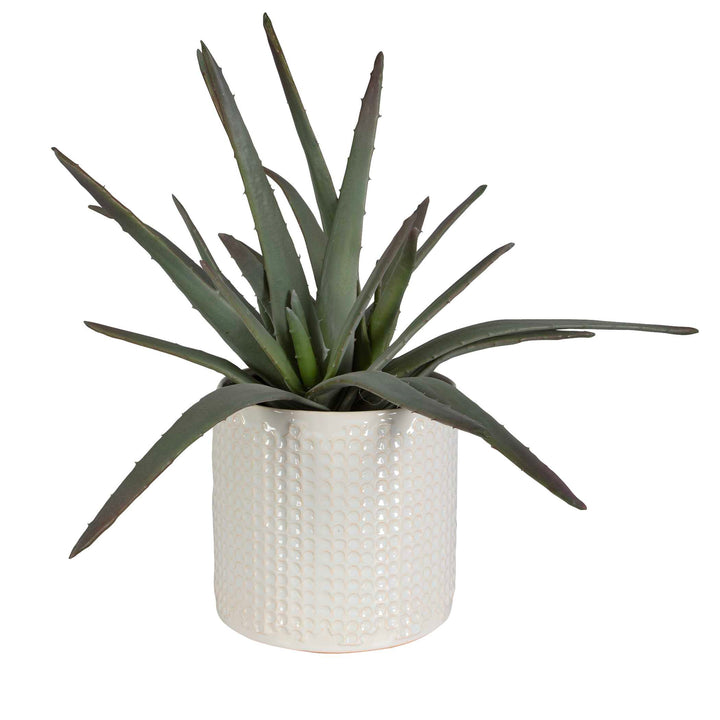Taos Aloe Centerpiece Accessories Uttermost