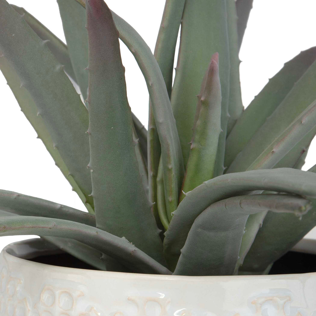 Taos Aloe Centerpiece Accessories Uttermost