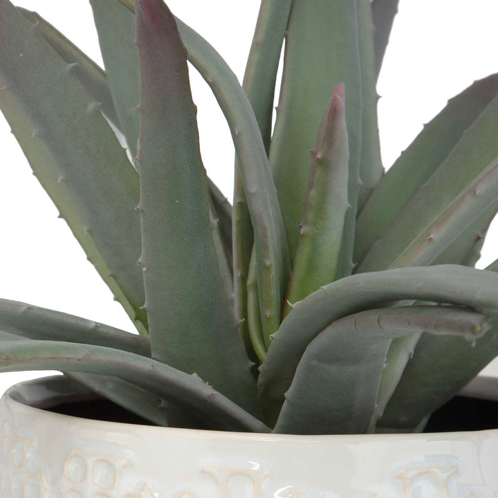 Taos Aloe Centerpiece Accessories Uttermost