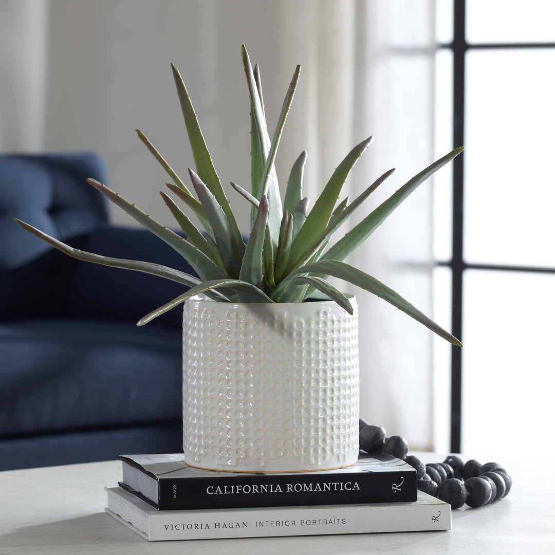 Taos Aloe Centerpiece Accessories Uttermost