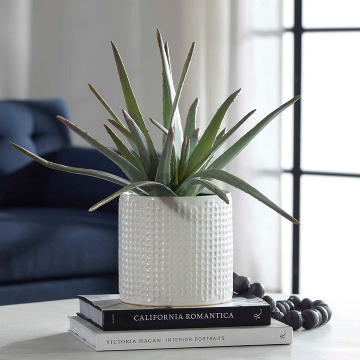 Taos Aloe Centerpiece Accessories Uttermost