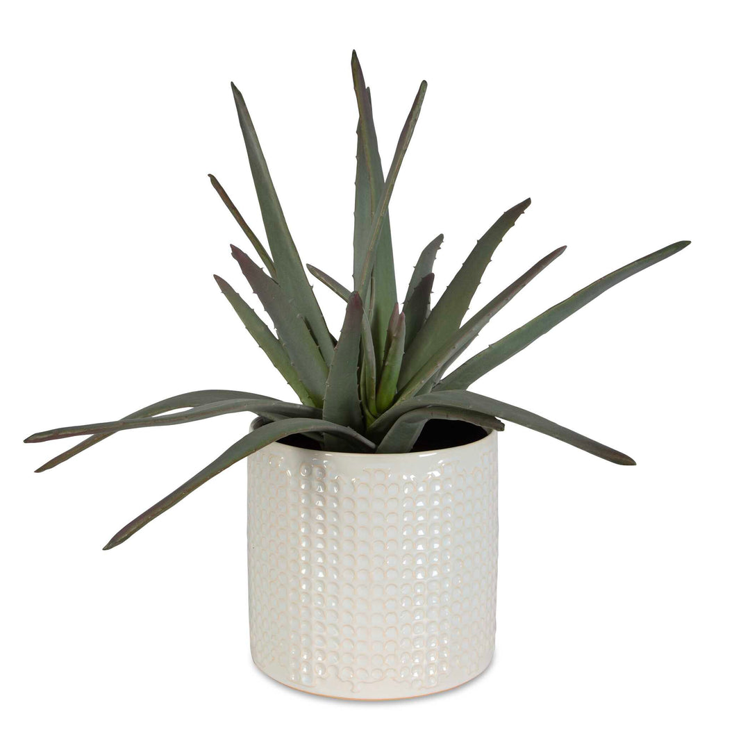 Taos Aloe Centerpiece Accessories Uttermost